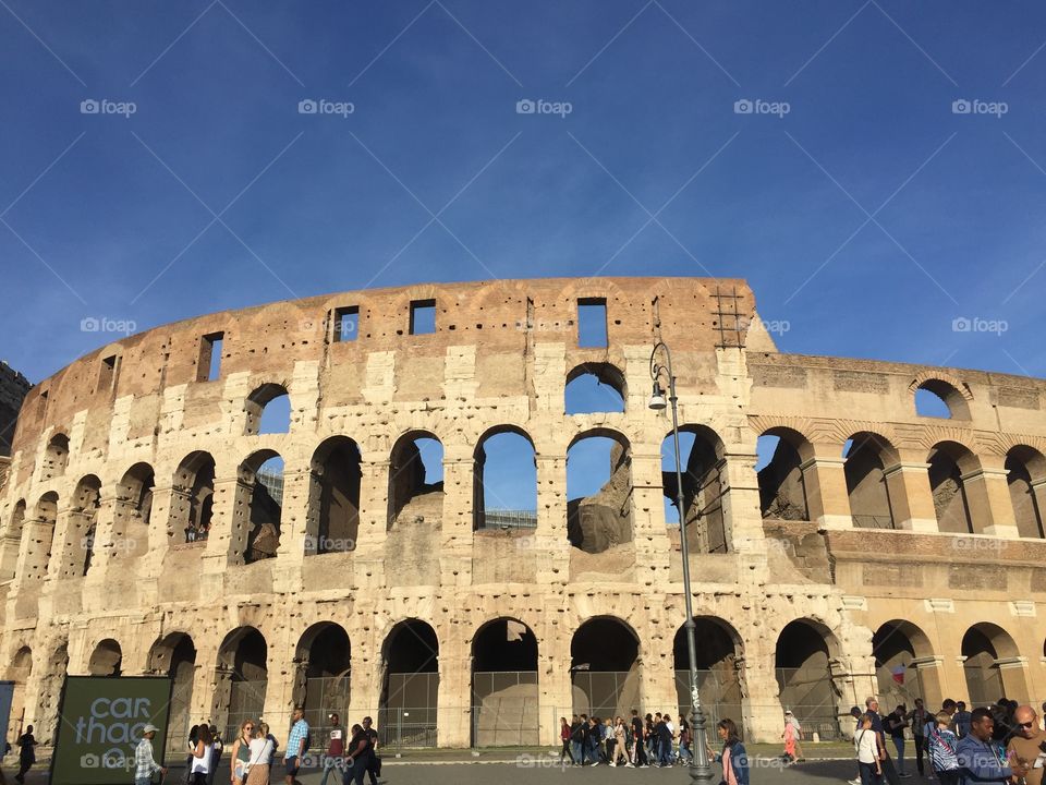 the coliseum 