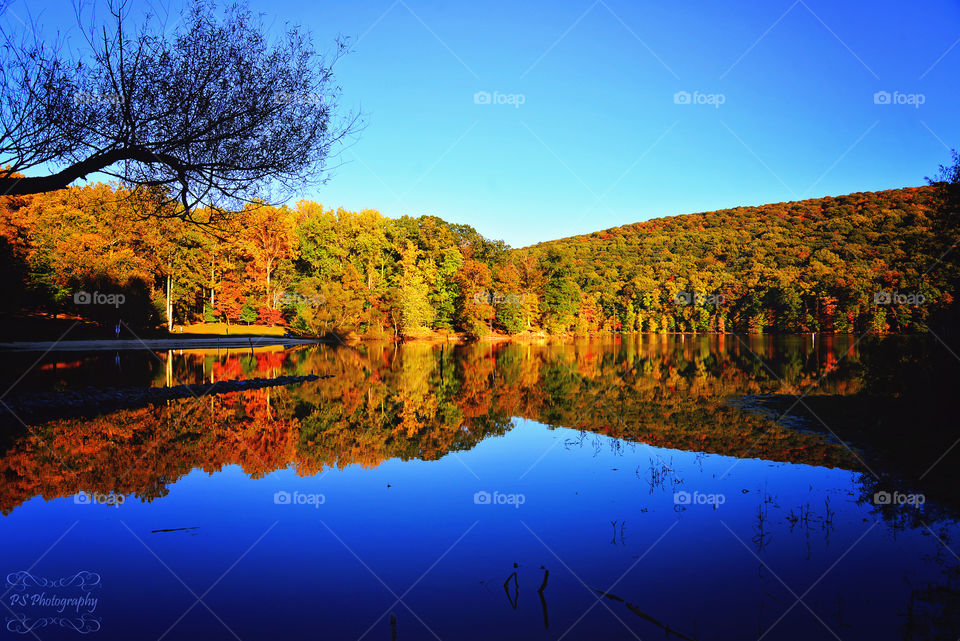 Autumn leaves. Autumn trees reflecting on lake