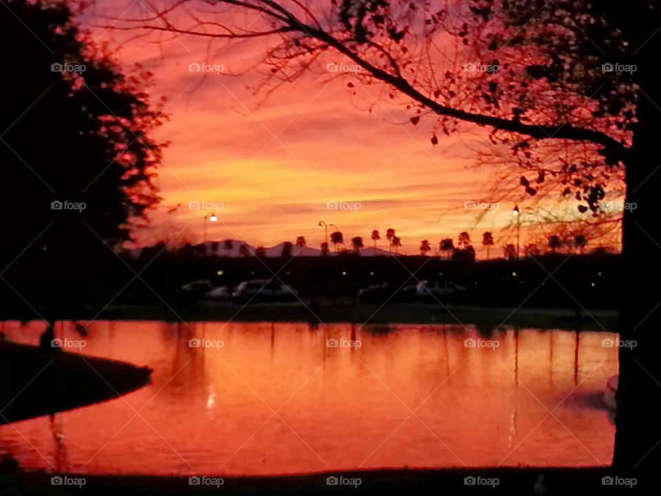 A pond reflecting a gorgeous Arizona sunset