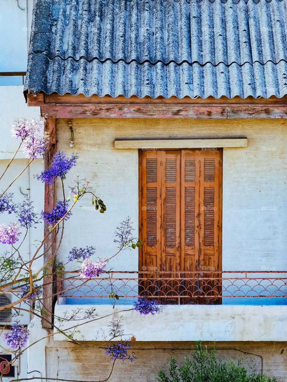 White house with brown wooden door and blue flowers 