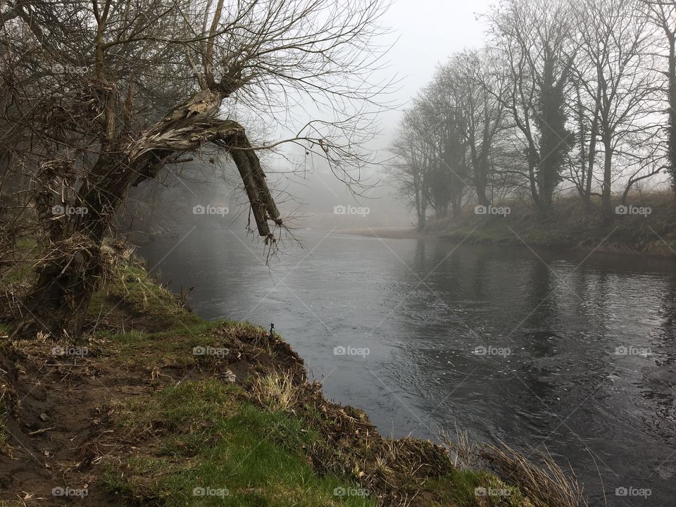 Misty Murky March 2021 ... turnaround point along the riverbank 