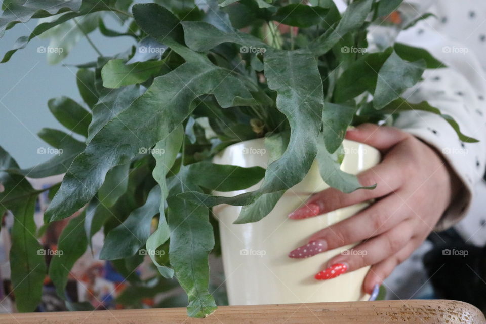 Holding my plant with both hands