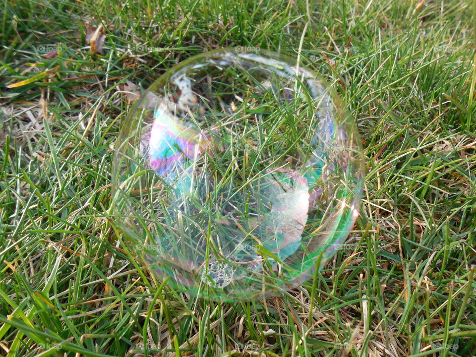 Bubble in grass