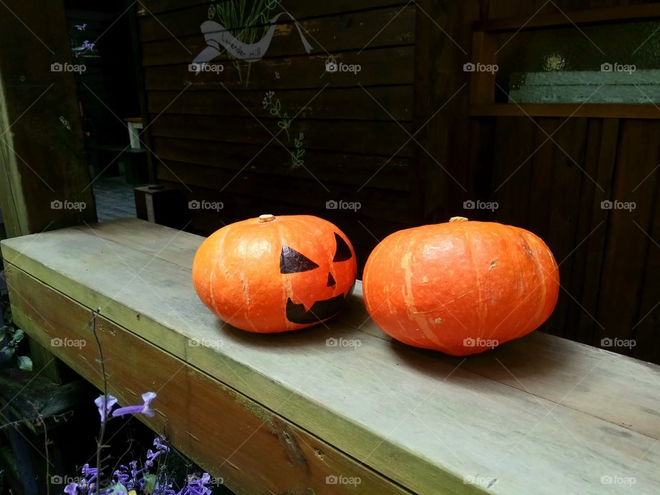 Two pumpkins placed face to face.