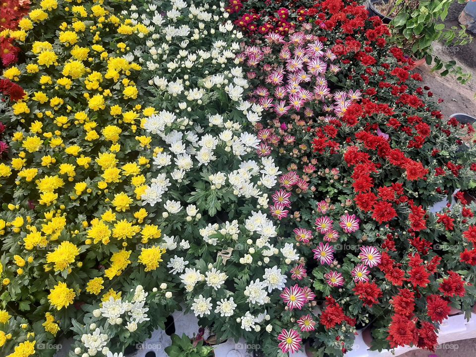 Please make me happy, I am poor, I need your help with support