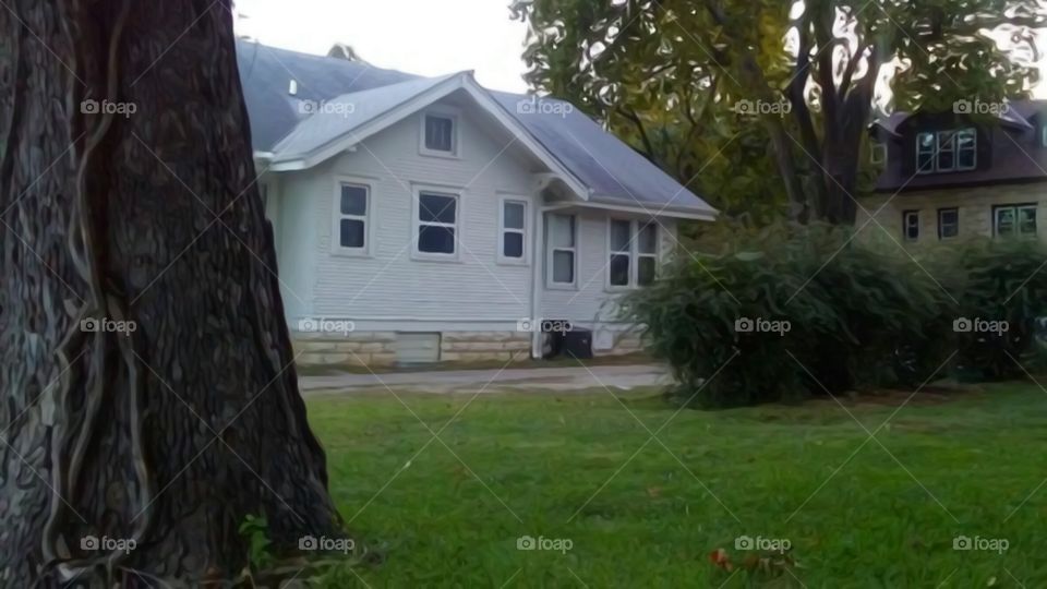 tree and house