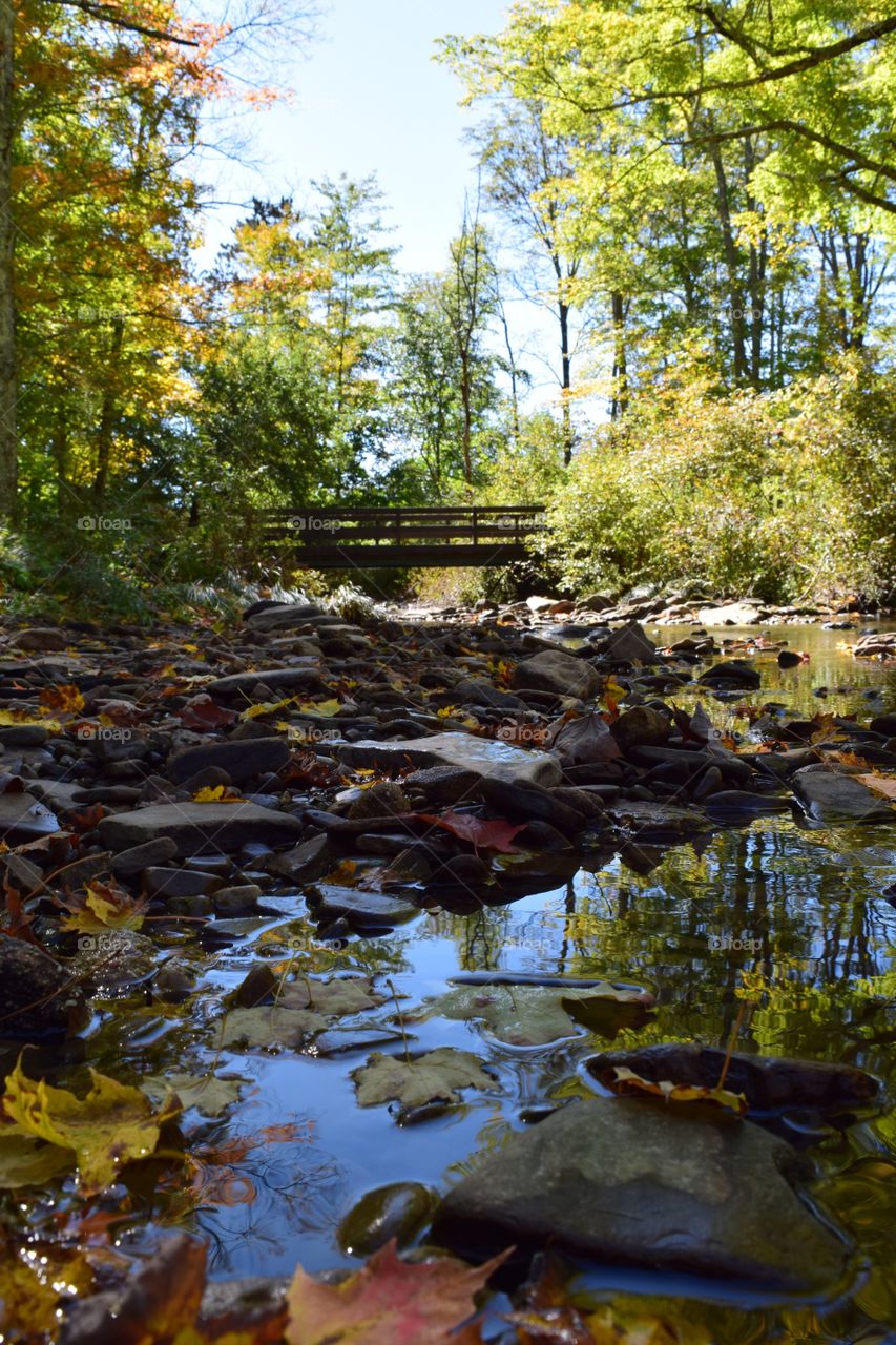 My point of view looking up the creek while on an Autumn hike.