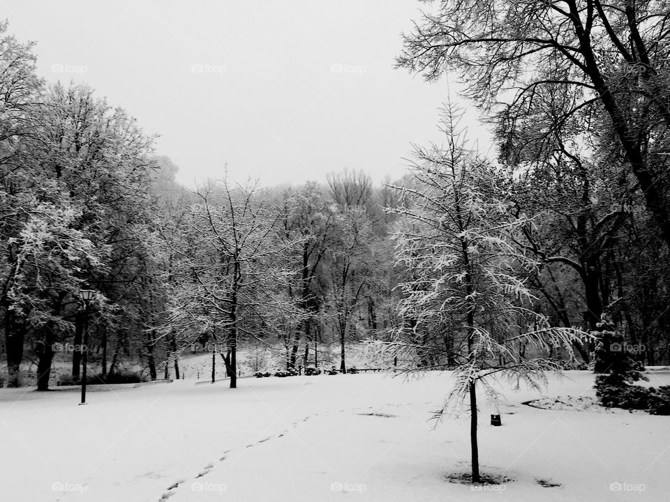 Winter scene in Bernardinai Gardens, Vilnius, Lithuania