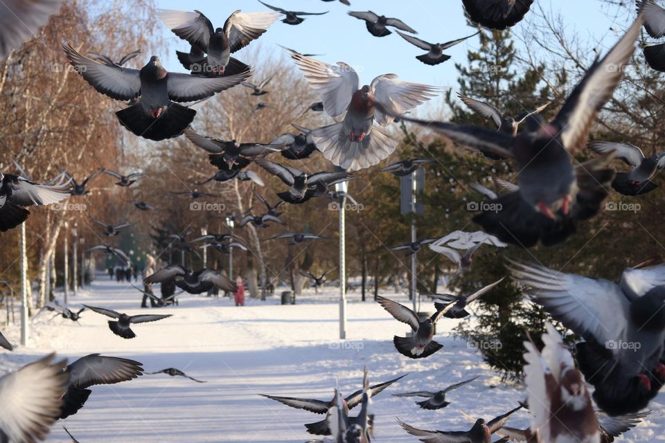 в городском парке