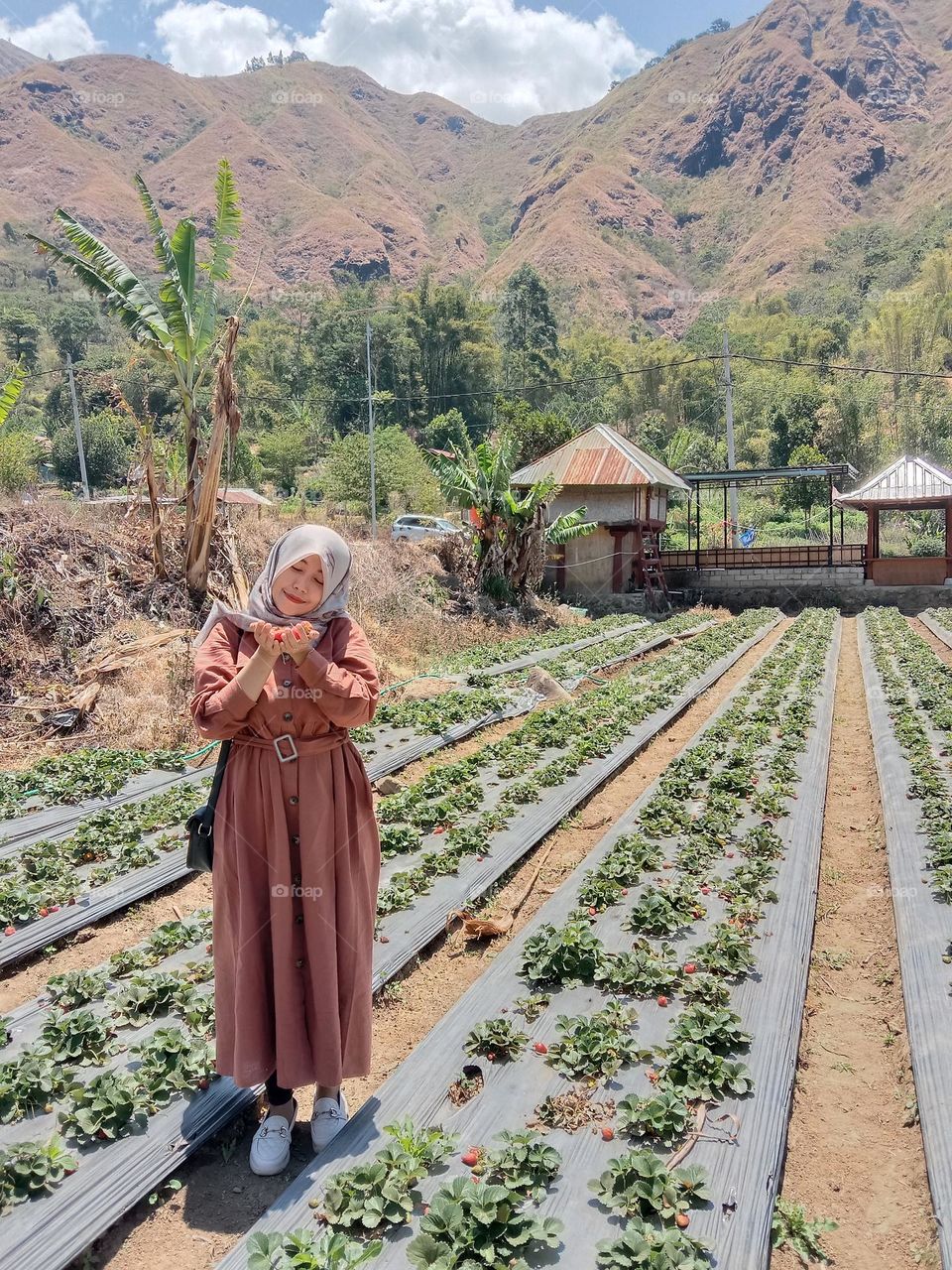 nice view with sweet strawberry