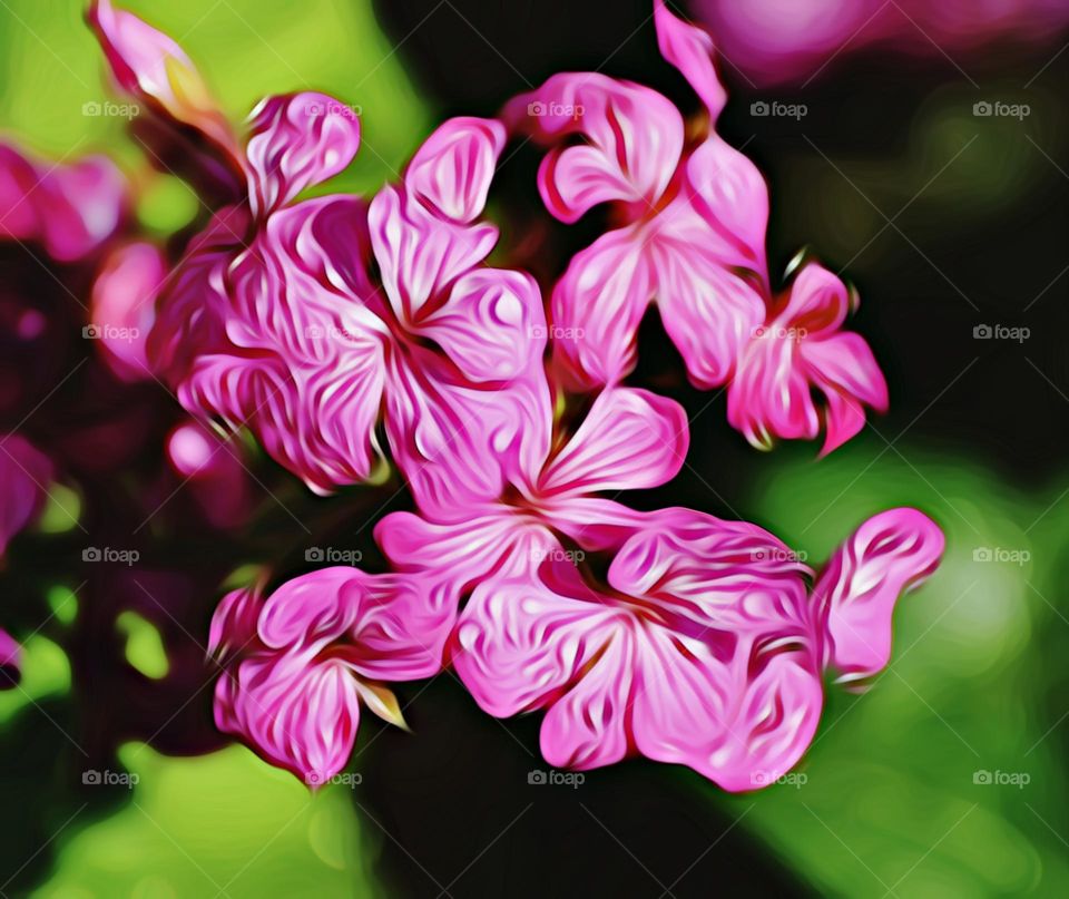 digital artistry, my point of view photography by Mark Sarden