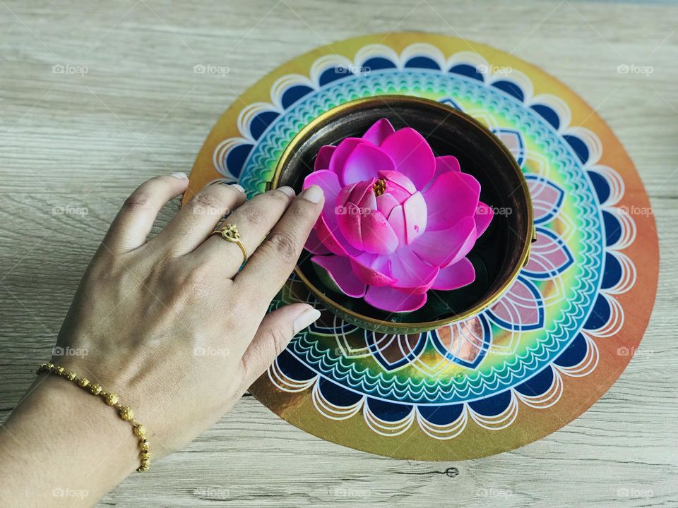 A women hand with gold jewellery on beautiful pink lotus 