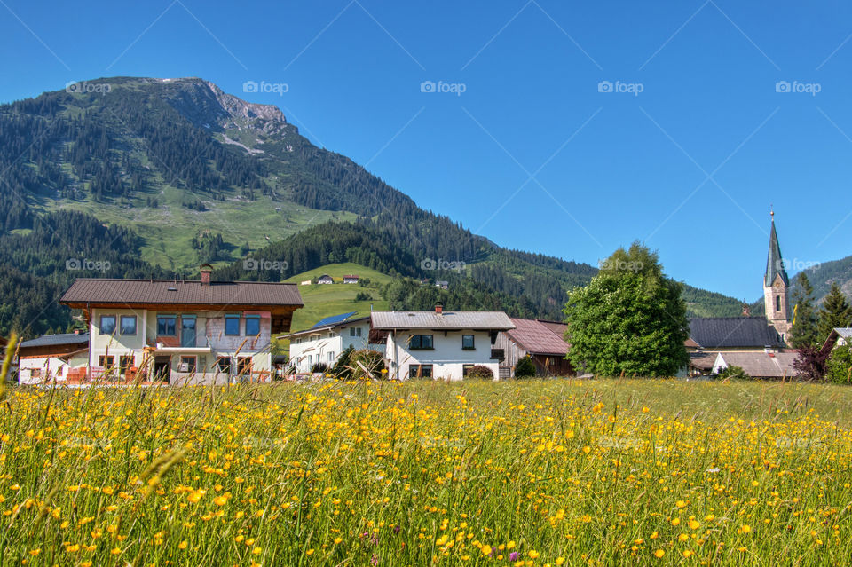 House in Russbach am Pass Gschutt