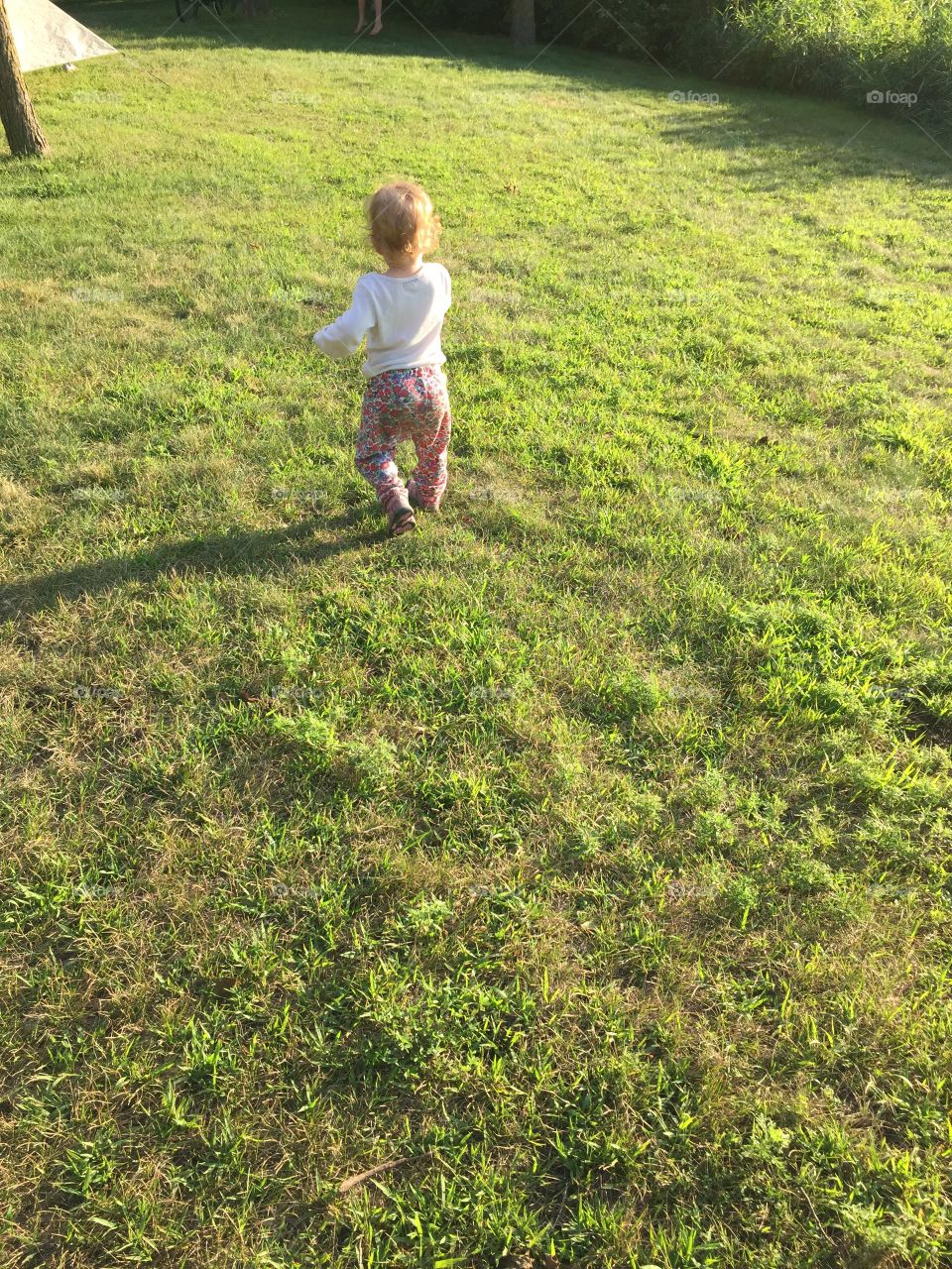 Walking in the grass.