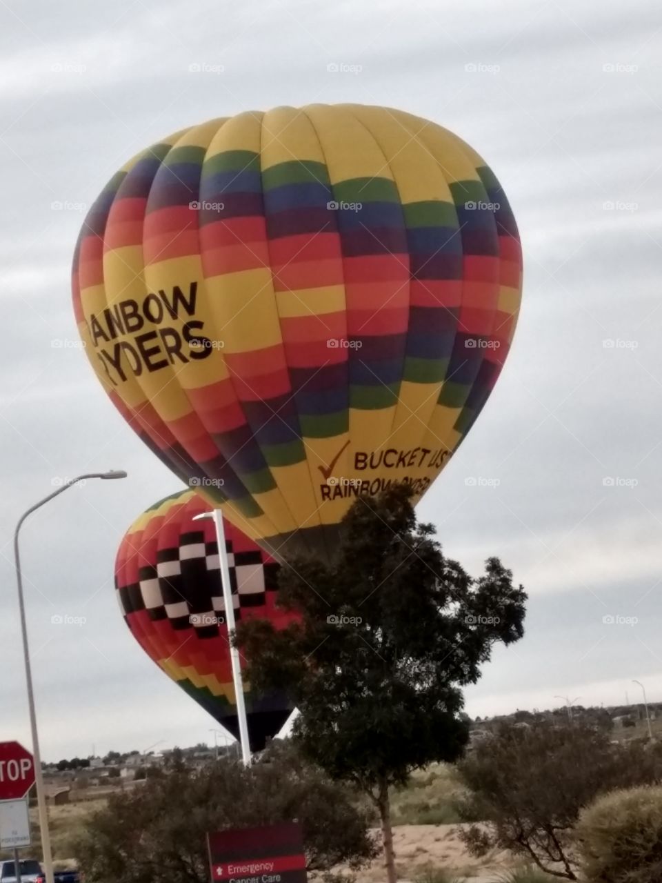 New Mexico balloons in the fall air.