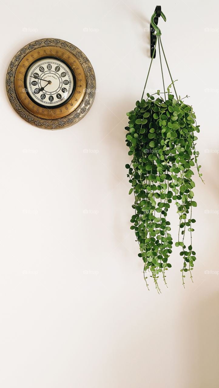 Hanging plant and clock