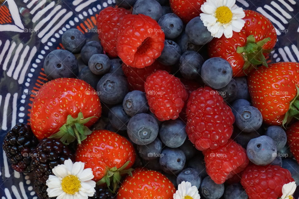 Red and Purple Berries