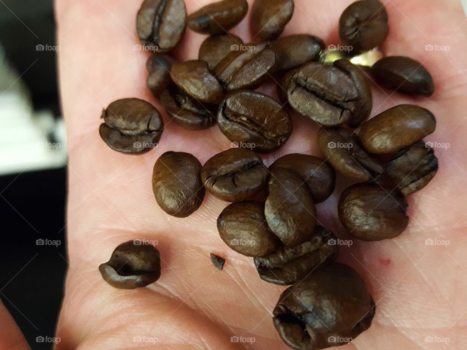 coffee beans