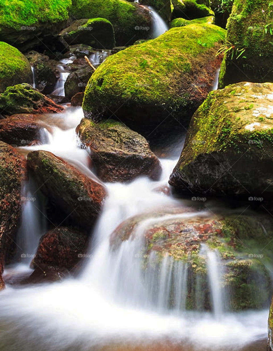 Travel around the world