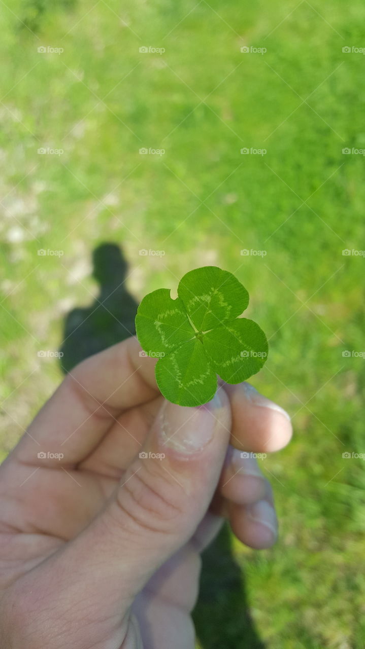 Random Find 🍀