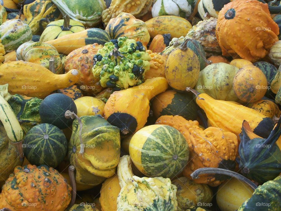 gourds