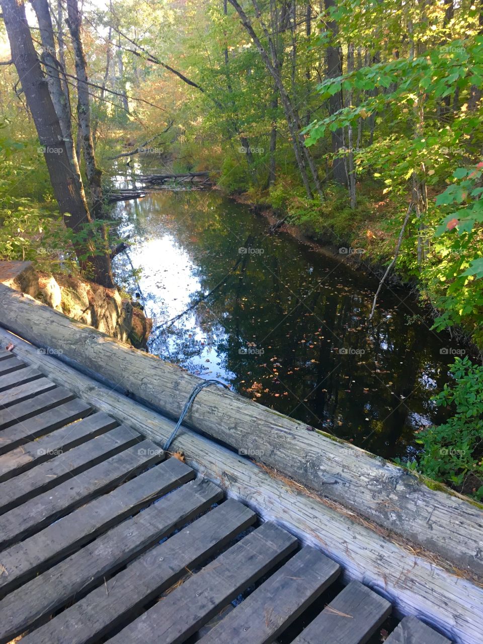 Wooden trail bridge 