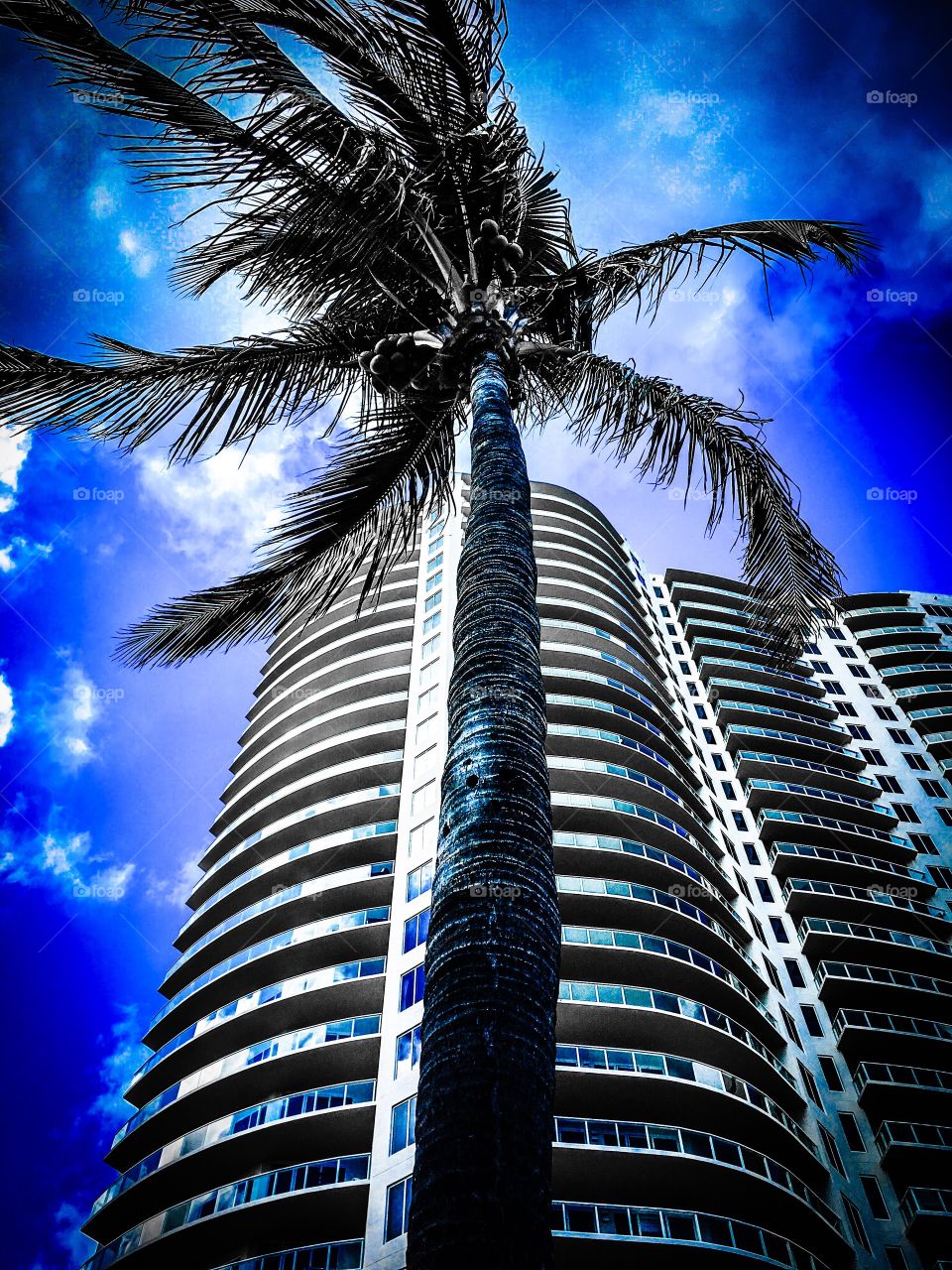 Riviera Beach condos at Palm Beach, Florida 