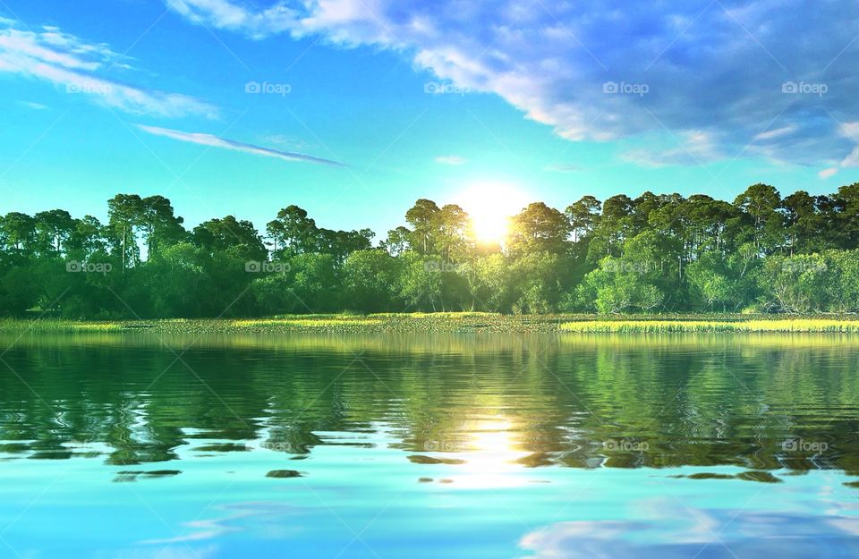 Lakeside reflection
