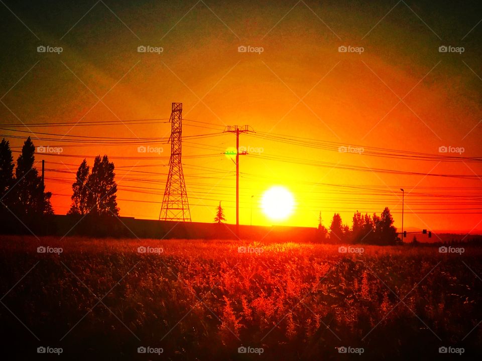 Sunrise with power and tower lines