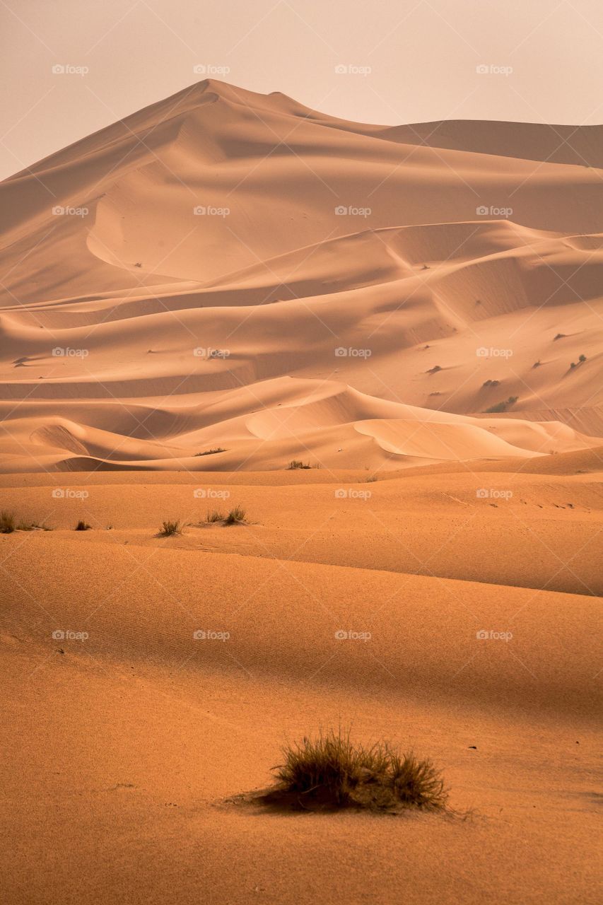 Amazing, beautiful namib desert one of the world's oldest desert.