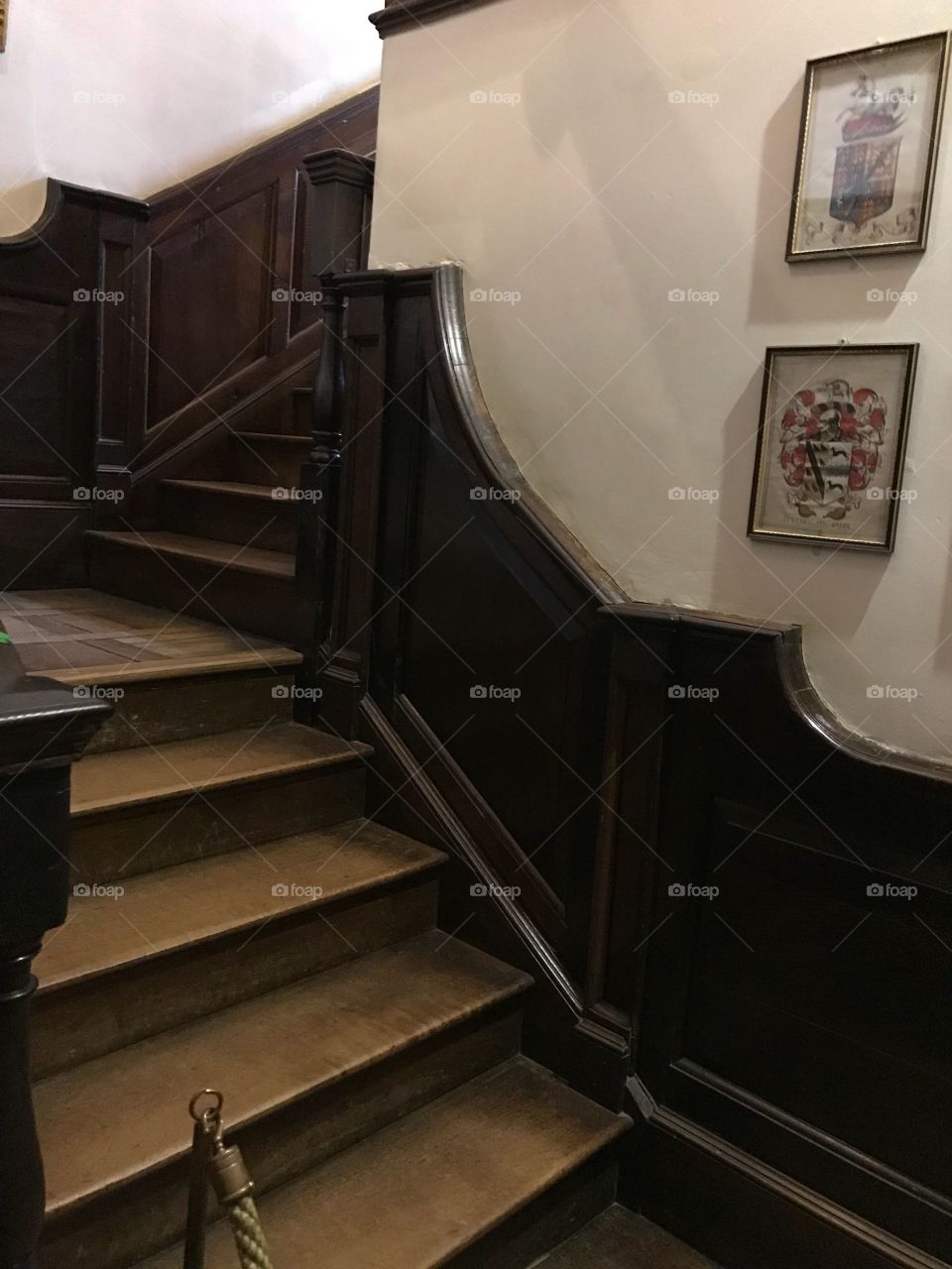 Luxury house with golden steps for the owners to enjoy.