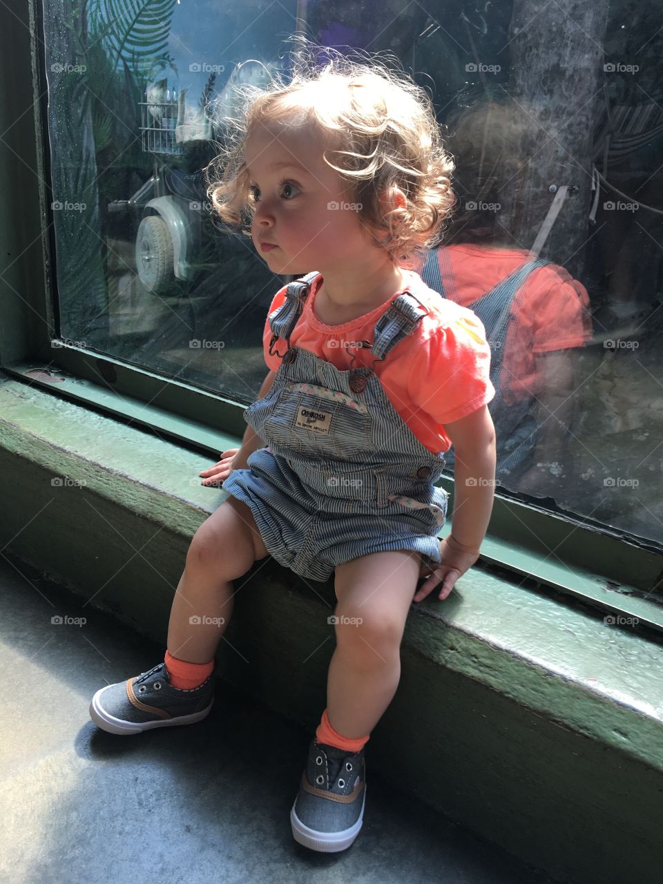 Birmingham Zoo
9/4/17