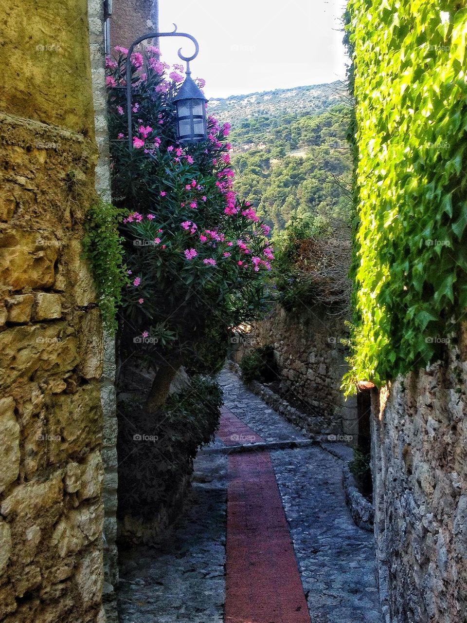 flowers france alley lantern by lemonique