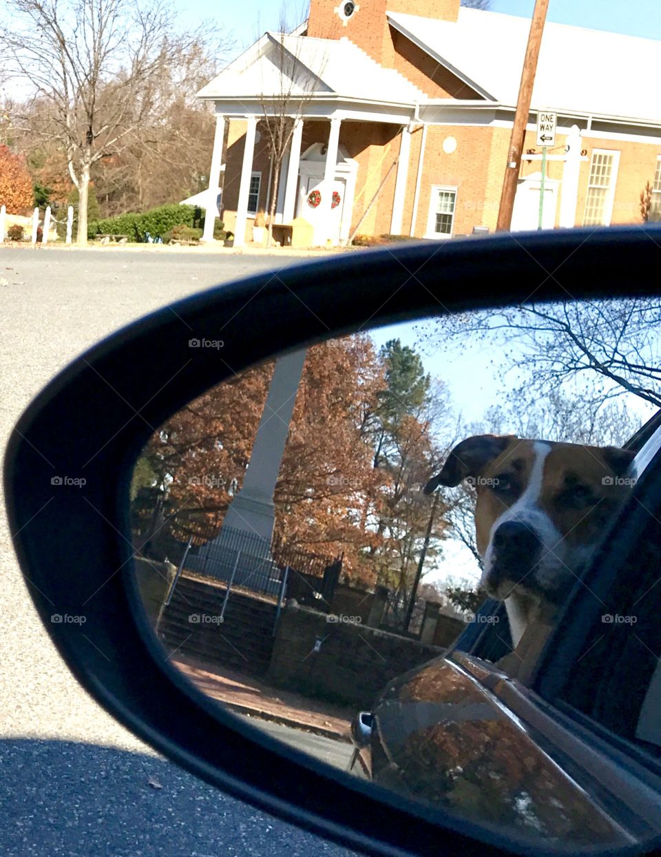 Molly in the mirror