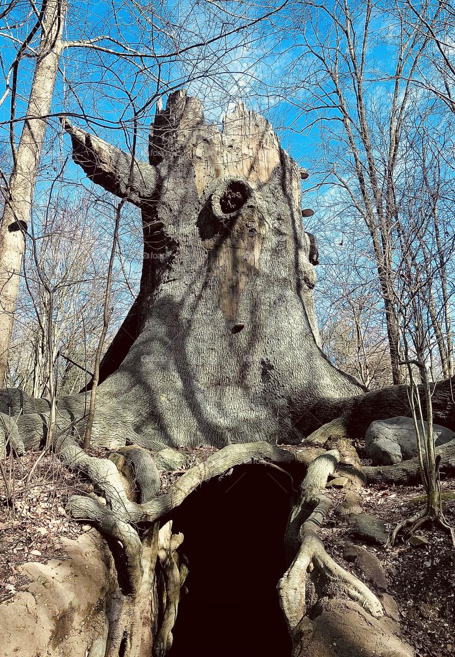Unique tree