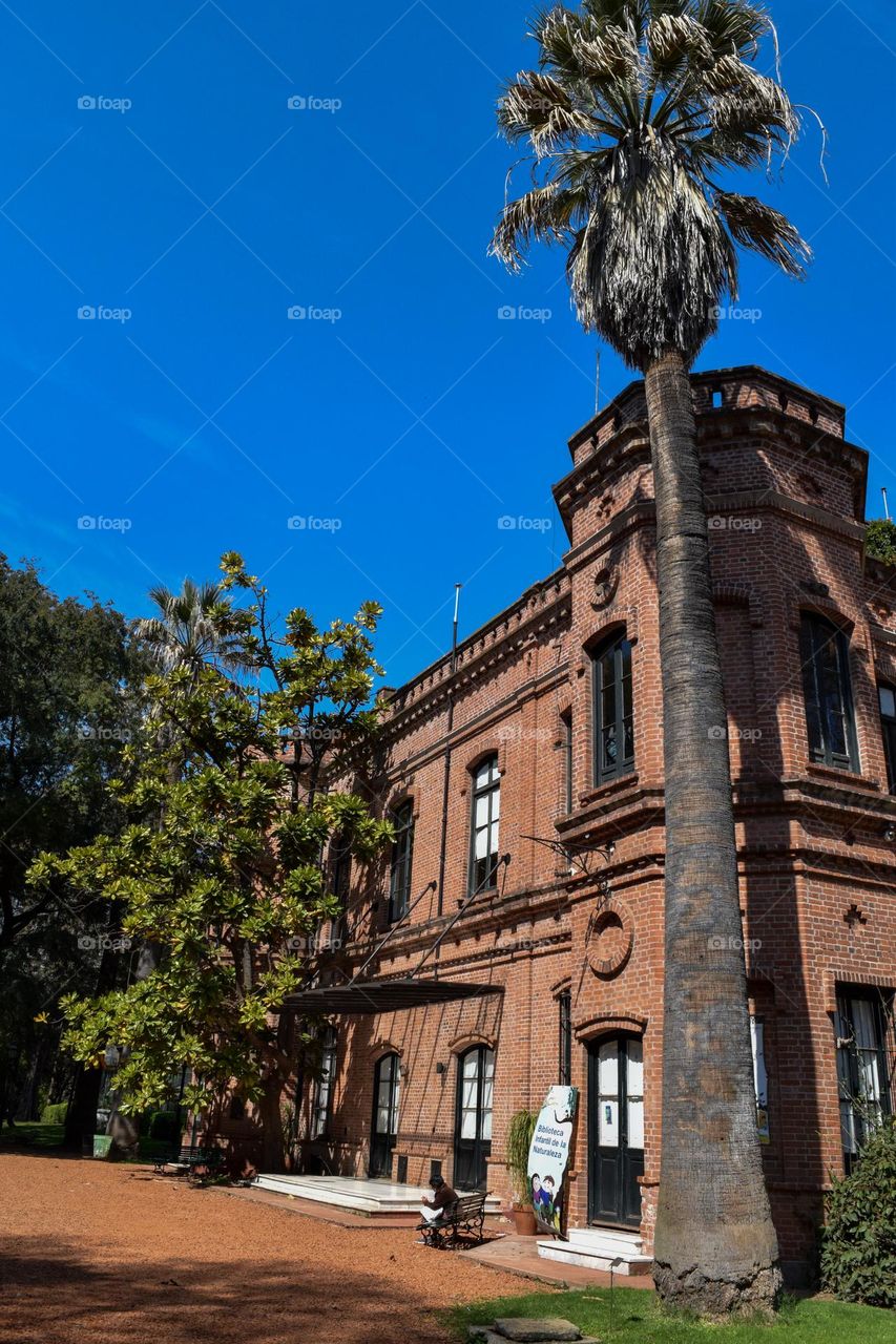 Window Buenos Aires Argentina