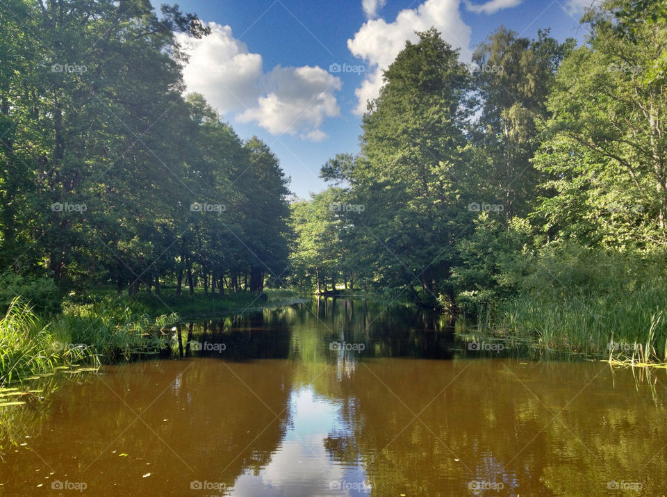 tree water cloud sweden by a.bondesson