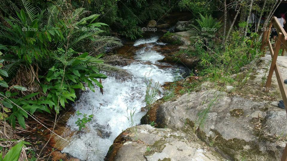 Cachoeira em São Bonifácio, SC