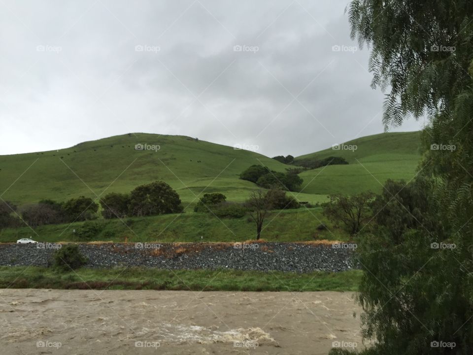 Creek during heavy rain