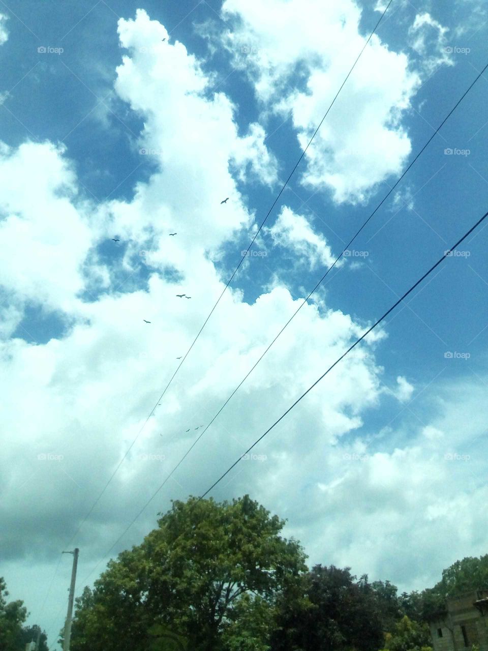 this picture is one of  my favorite places to look up in the sky an to see the must beautiful cloud