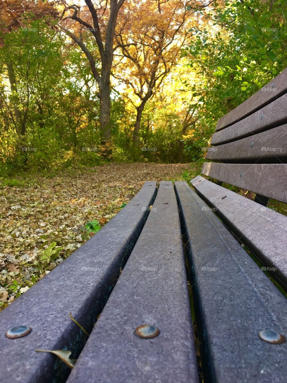 Found a bench to rest on in the park! 