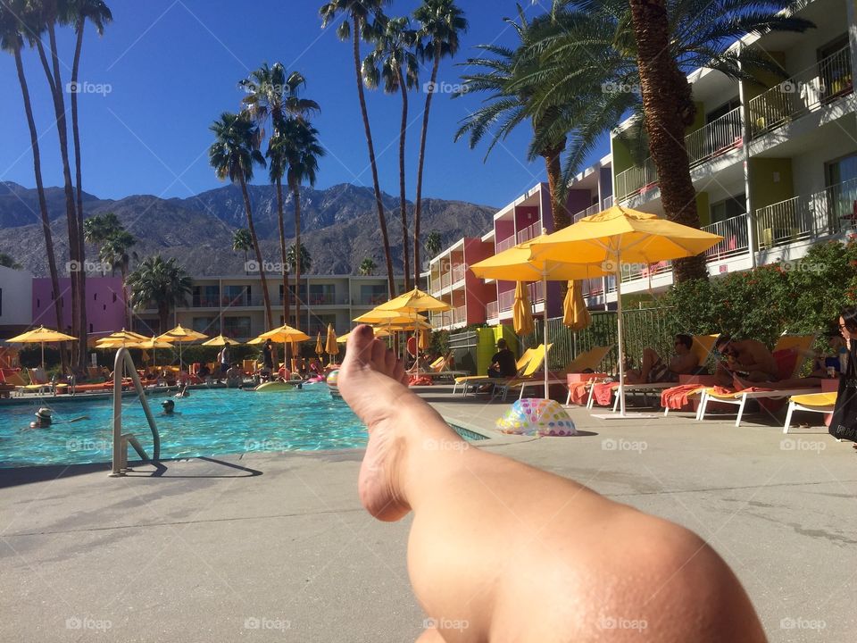 Chillin' by the Pool