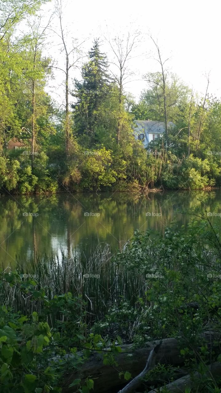 view from across the way