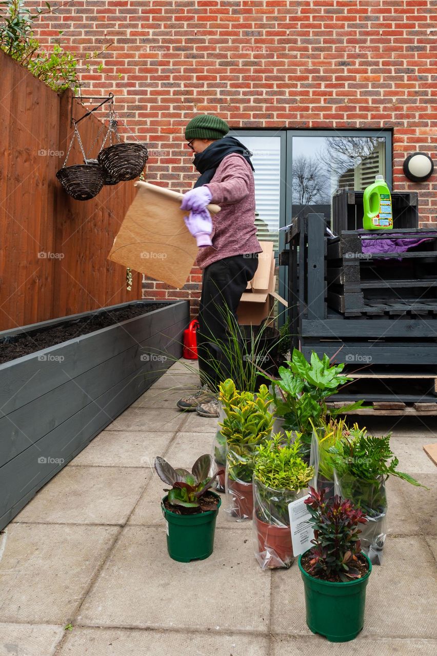 Home gardening. Woman planting new plants into garden planter. Repotting rootbound plants into garden planter.