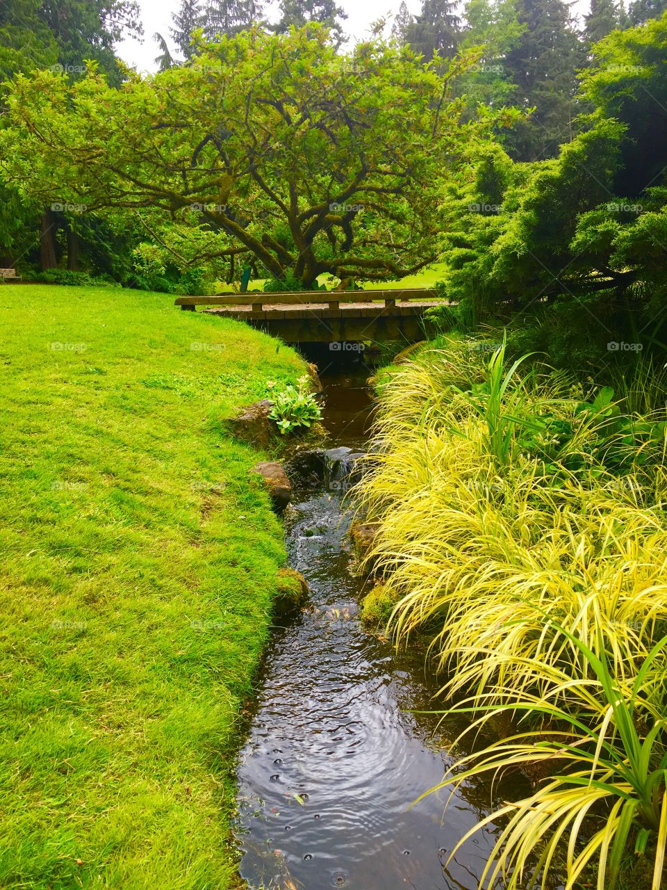 Garden Water Feature