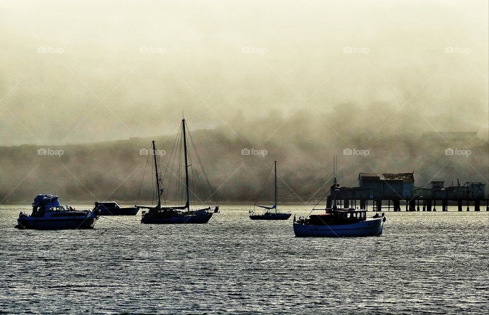 Sailboats in a foggy harbor
