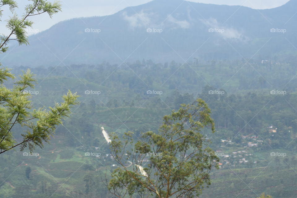 Beautiful misty  morning in the Hill Country # you can see a snake Waterfall lol😄