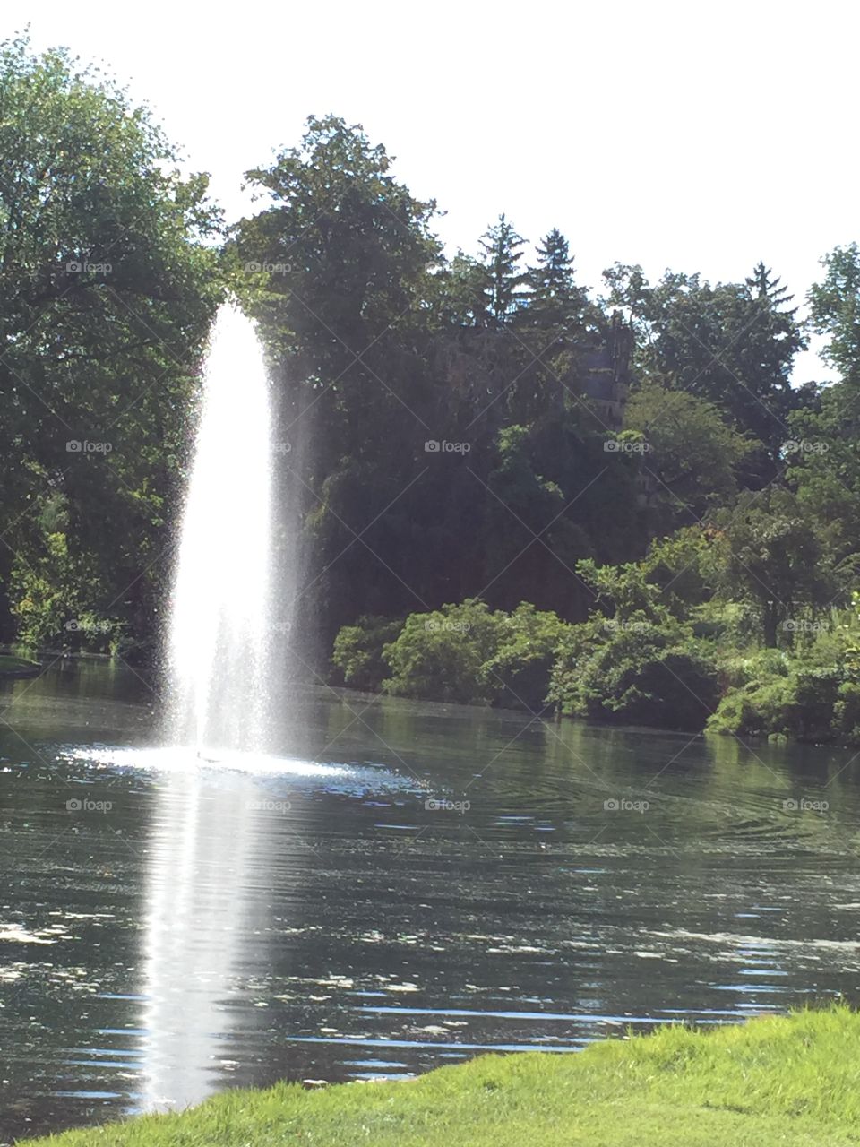 Cemetery pond and church