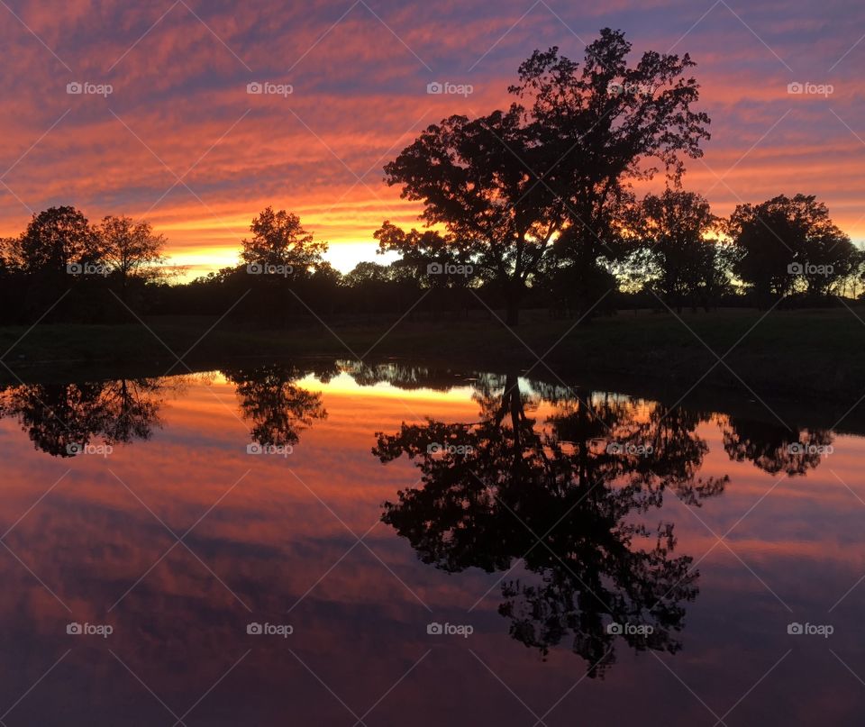 Sunset by a pond