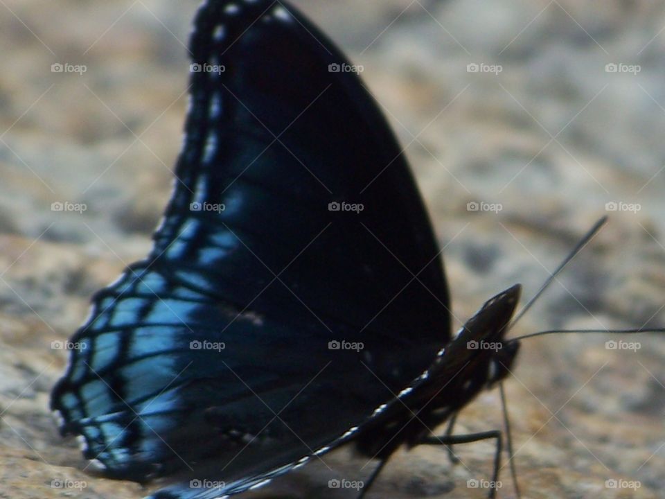 Upclose and Personal